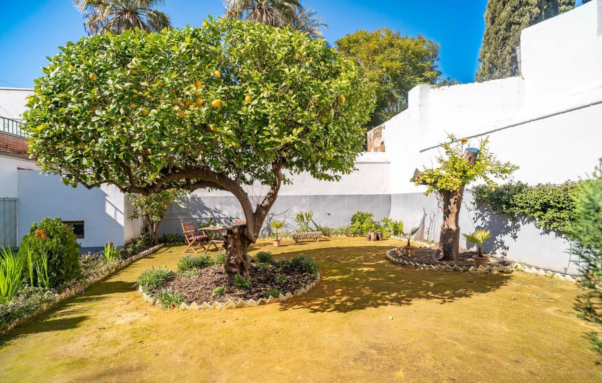PeñaflorLa Casa Del Limoneroアパートメント エクステリア 写真