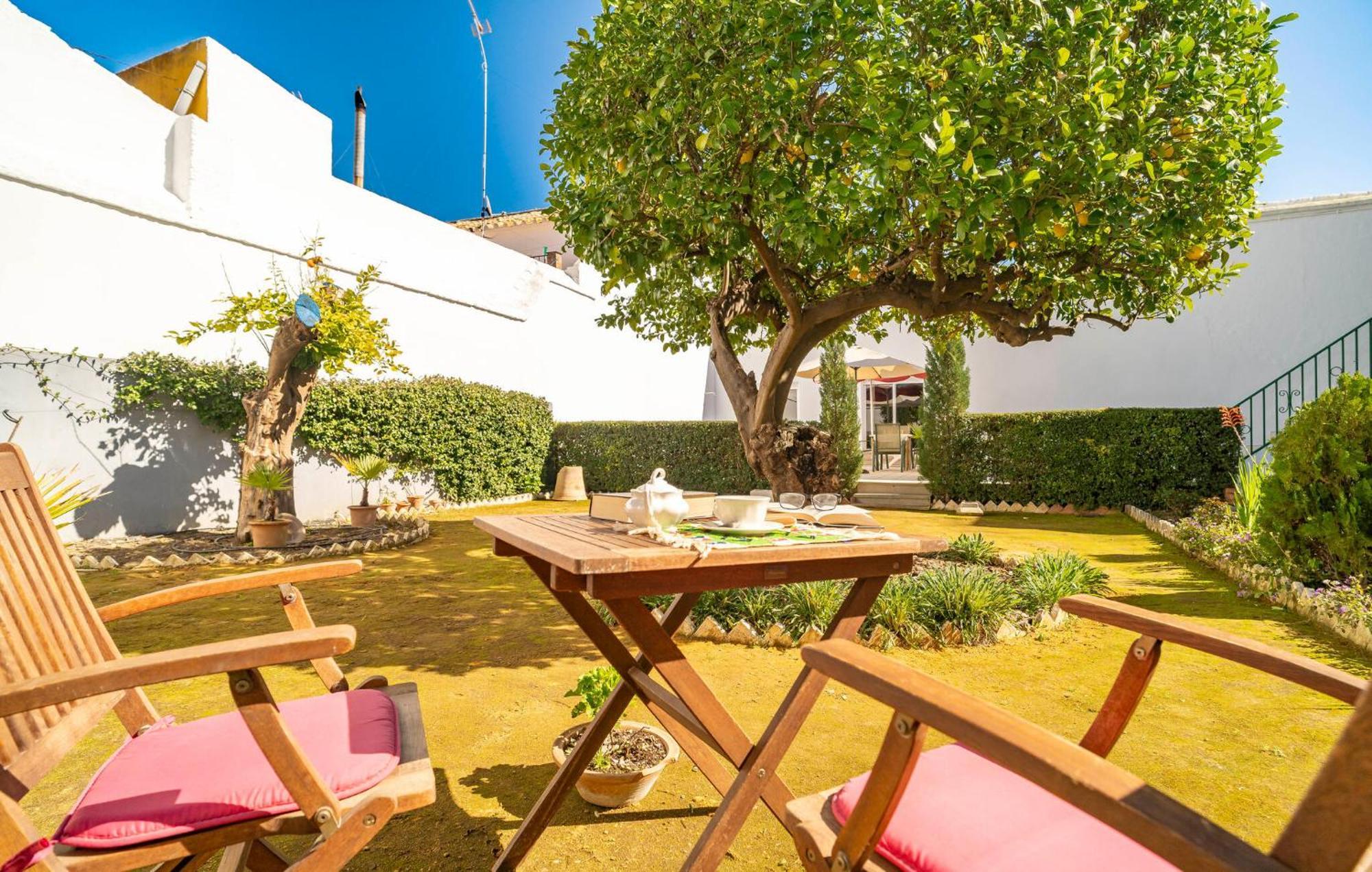 PeñaflorLa Casa Del Limoneroアパートメント エクステリア 写真