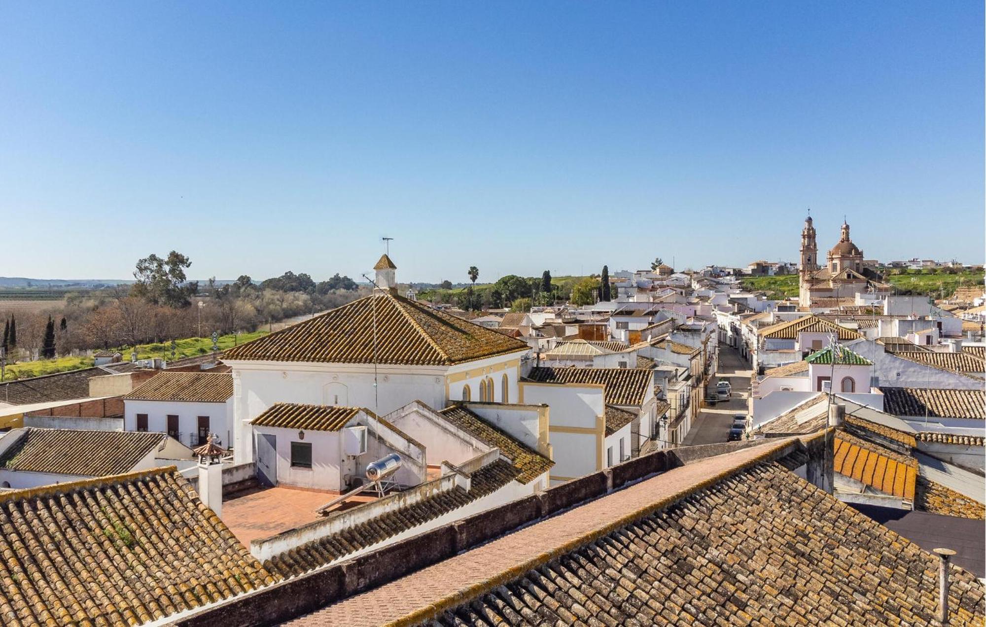 PeñaflorLa Casa Del Limoneroアパートメント エクステリア 写真