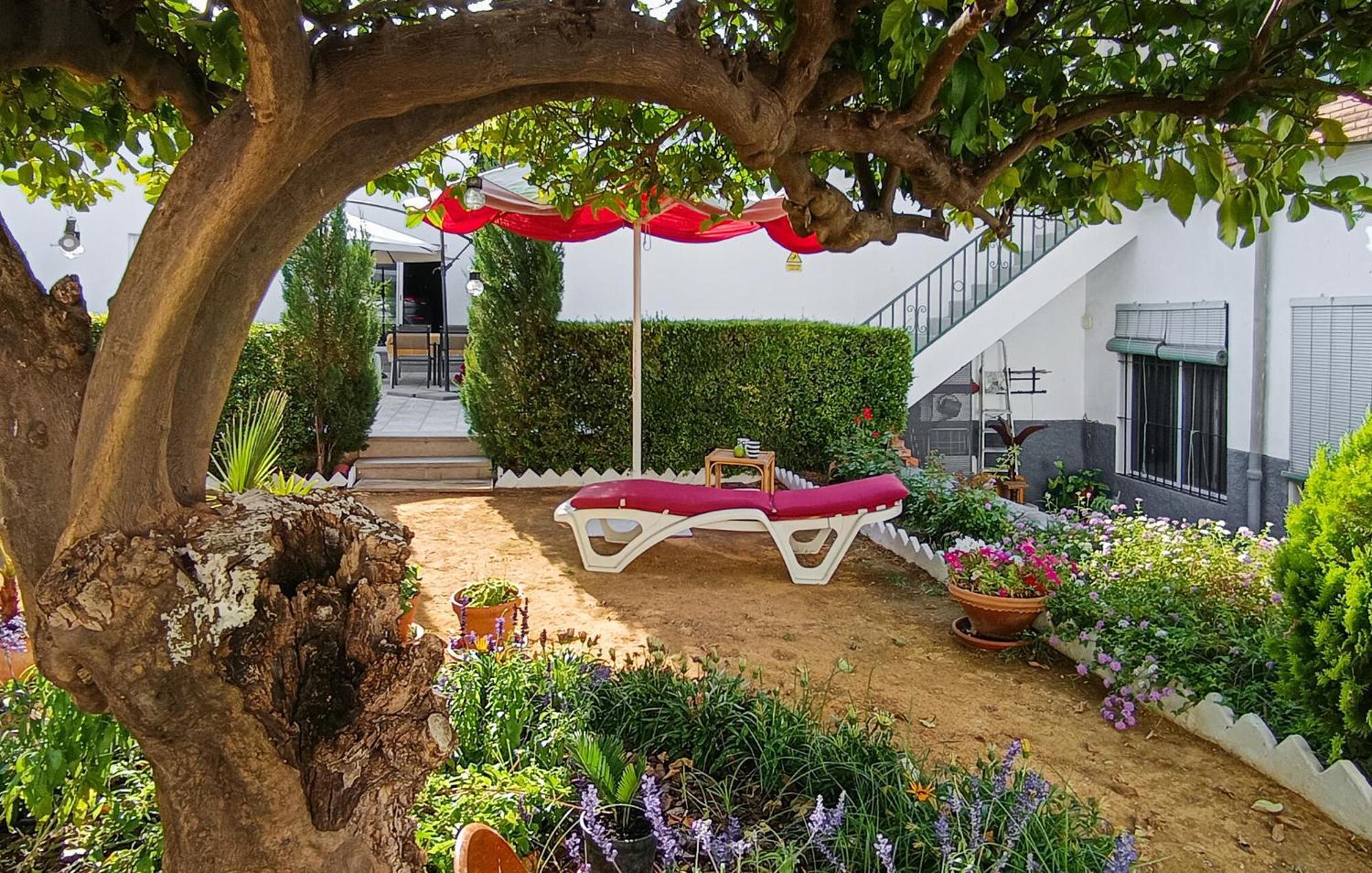 PeñaflorLa Casa Del Limoneroアパートメント エクステリア 写真